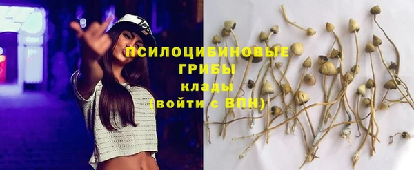 ГАЛЛЮЦИНОГЕННЫЕ ГРИБЫ Алексин
