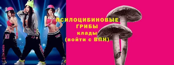 винт Алексеевка