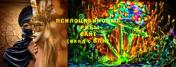 ГАЛЛЮЦИНОГЕННЫЕ ГРИБЫ Алексин