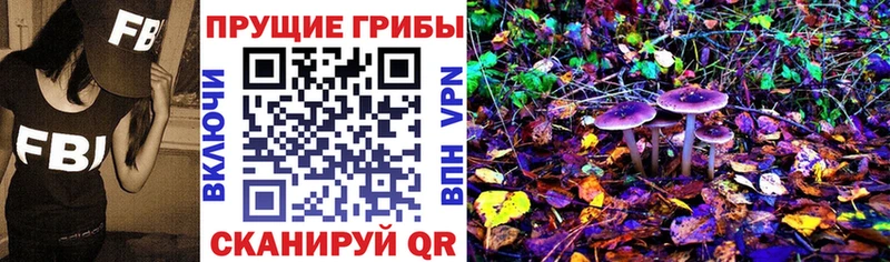 Псилоцибиновые грибы Magic Shrooms  как найти   Ипатово 